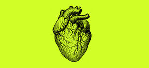 Desarrollo de marcas